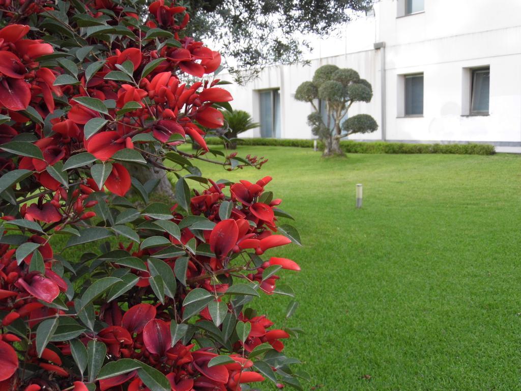 Fiore Dell'Etna Apartment Santa Venerina Exterior foto