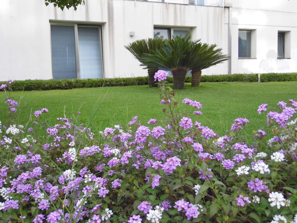 Fiore Dell'Etna Apartment Santa Venerina Exterior foto